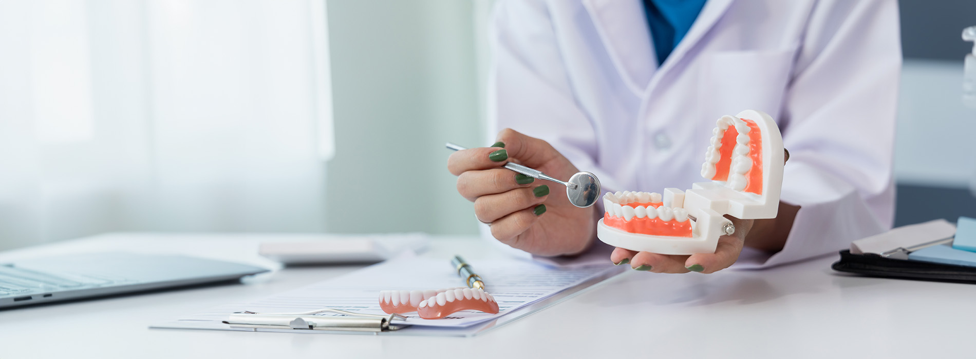 A dental professional in a modern office setting, holding a model of a human mouth with teeth, examining it closely.